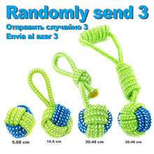 Load image into Gallery viewer, 7 Pack Pet Dog Toys for Large Small Dogs Ball Toothbrush Interactive Dog Toys Christmas Products for Dogs Chew Toy Accessories